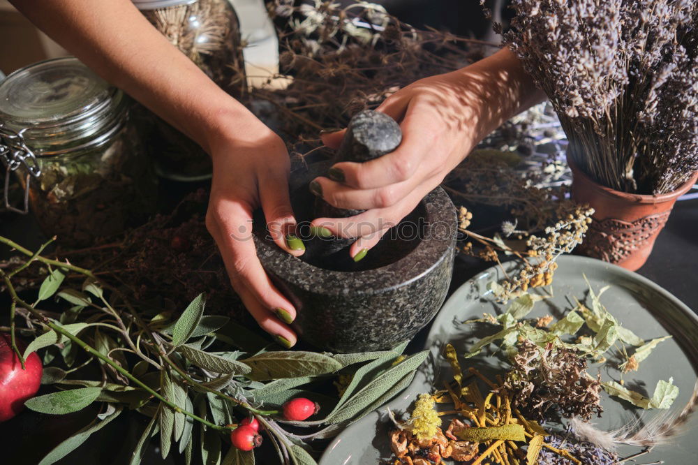 Image, Stock Photo of hunters and gatherers