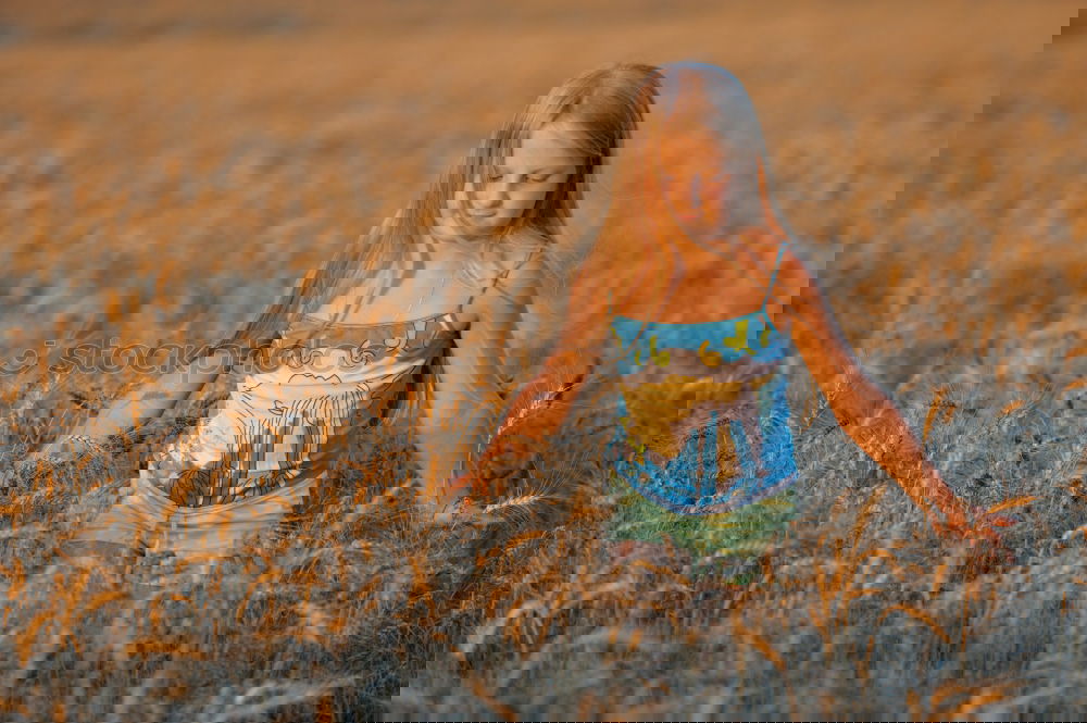 Similar – Foto Bild feld
