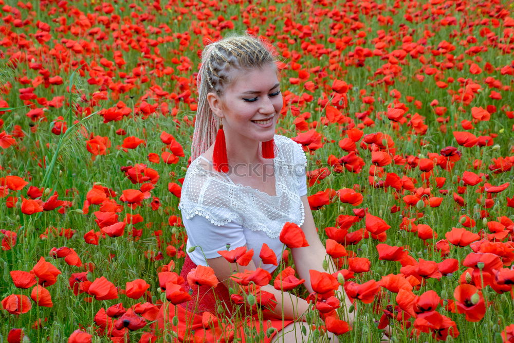 Similar – Image, Stock Photo Summer! Good morning Poppy