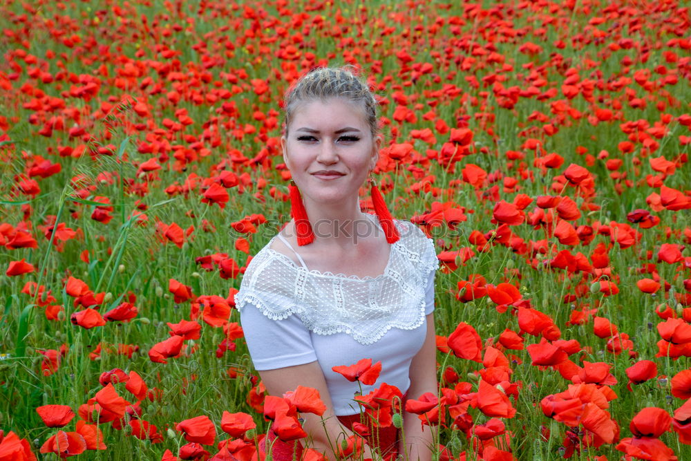 Similar – Image, Stock Photo Summer! Good morning Poppy