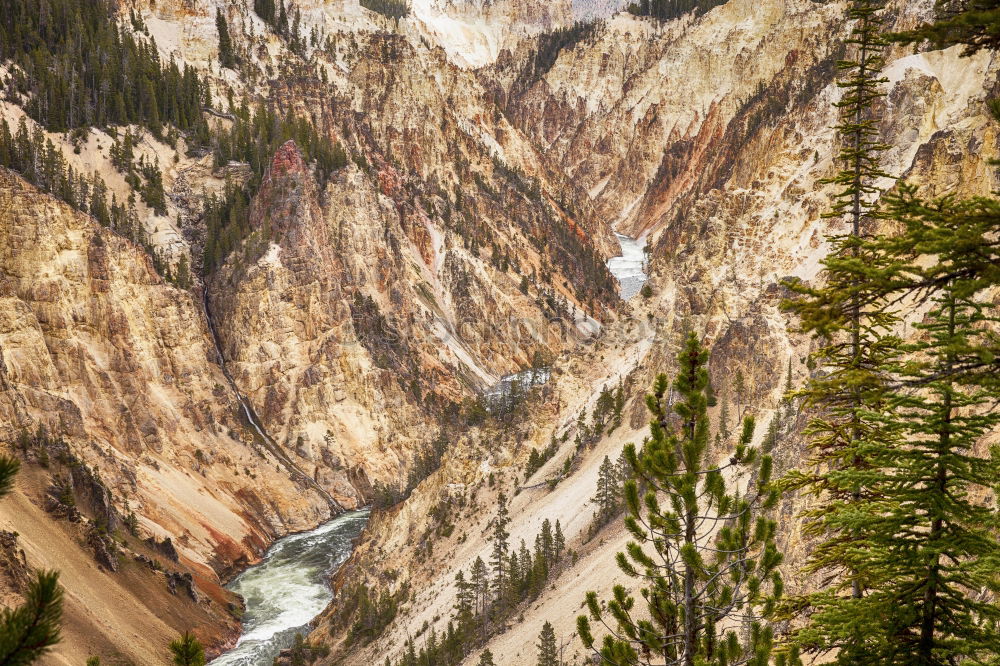 Similar – Foto Bild Yellowstone River Fluss