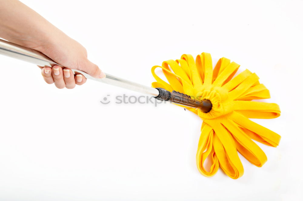 Similar – Image, Stock Photo flower holder Flower