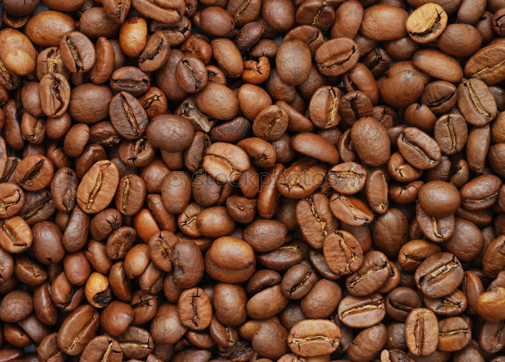 Similar – Coffee beans on wooden table background