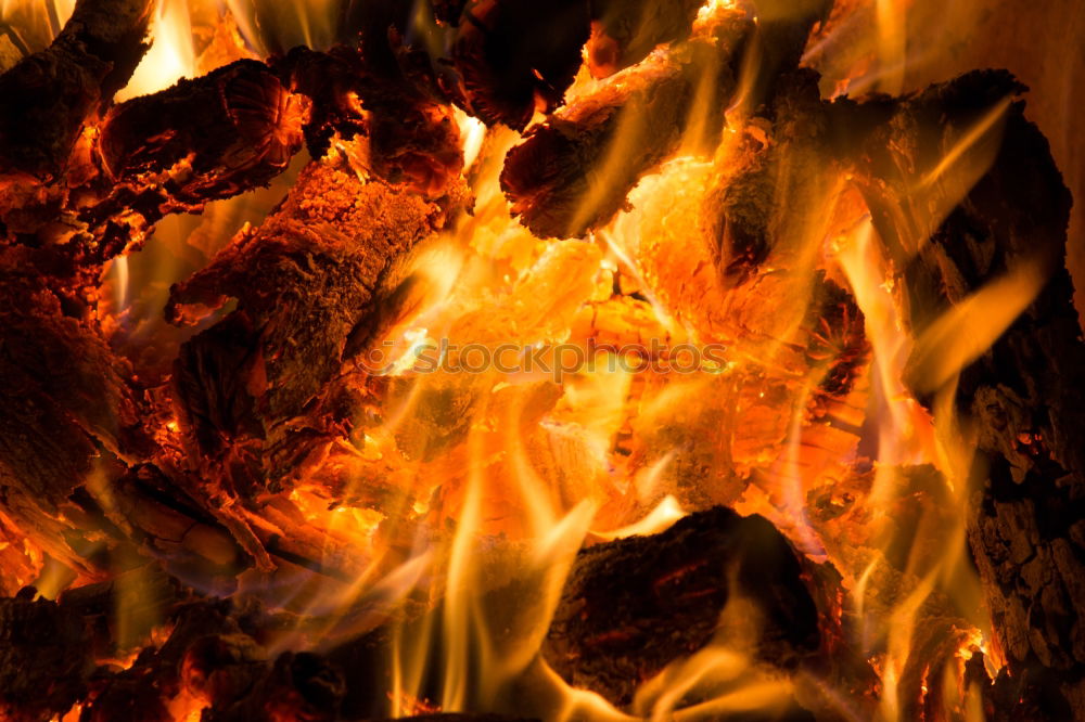 Similar – Image, Stock Photo Forest fire