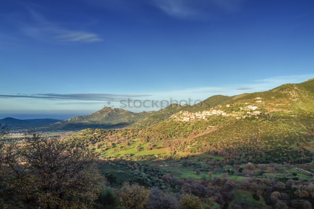 Similar – Image, Stock Photo vine Nature Landscape Blue