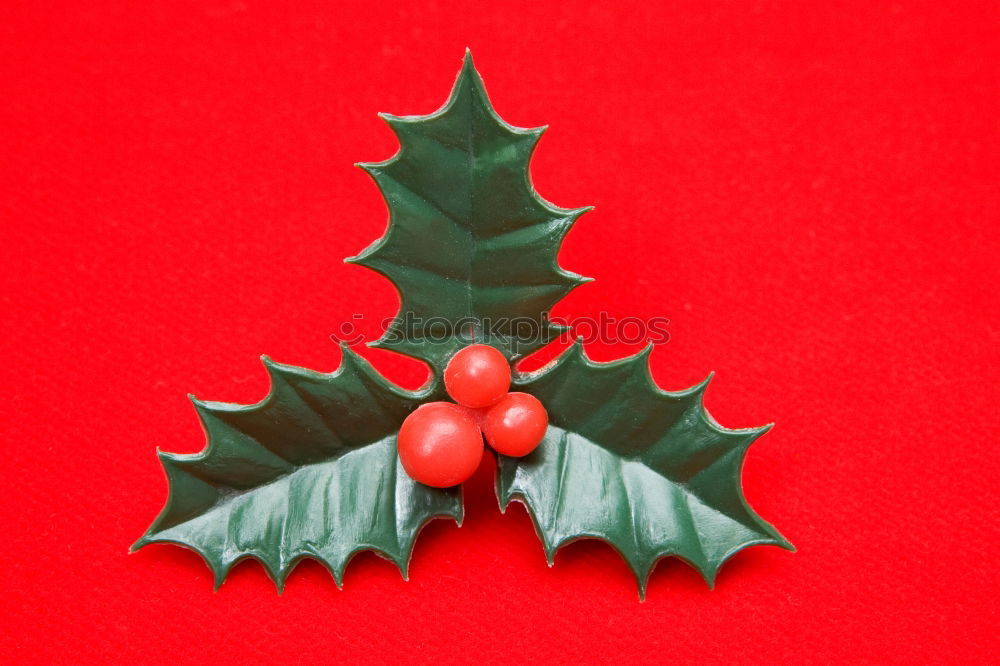 Image, Stock Photo The holly typical ornament of christmas