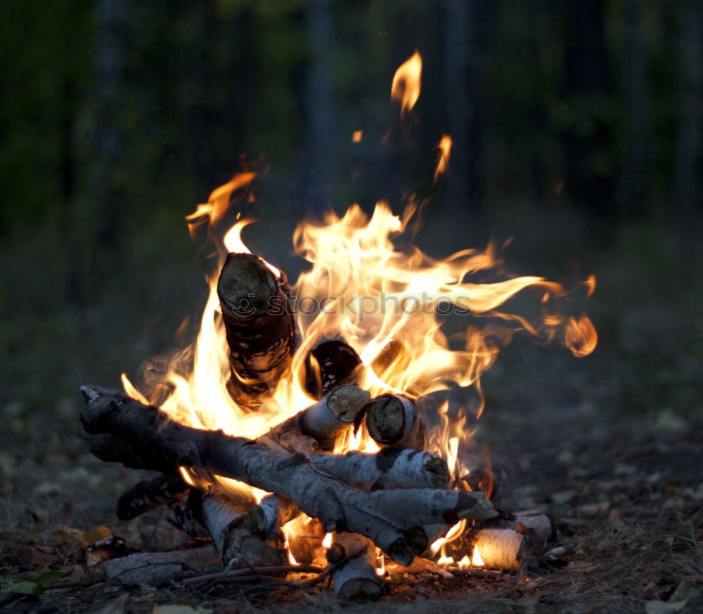 Similar – Image, Stock Photo firestarter Fire Summer