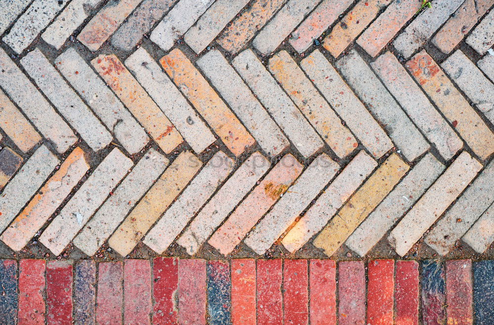 Similar – Image, Stock Photo The wonderful world of geometry l 6