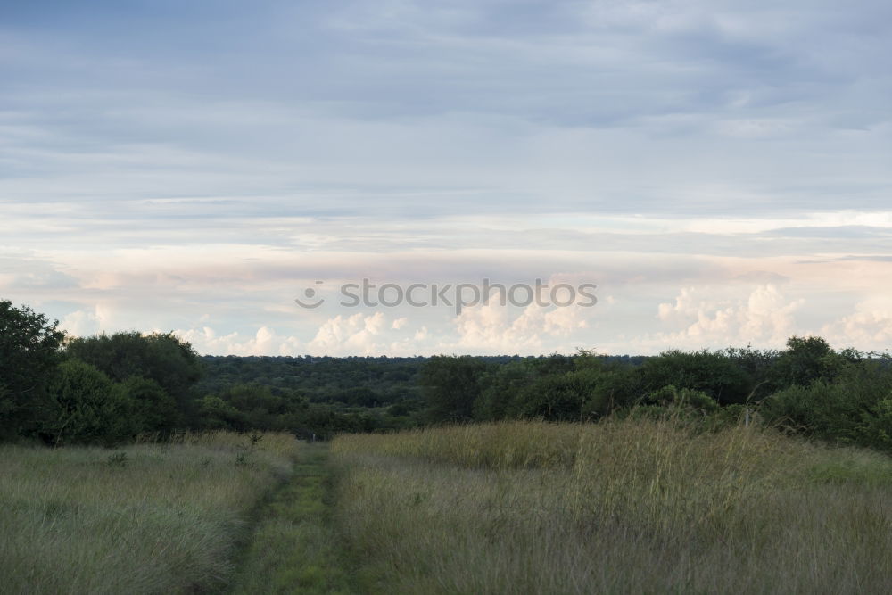 Similar – Foto Bild feld & flur Natur