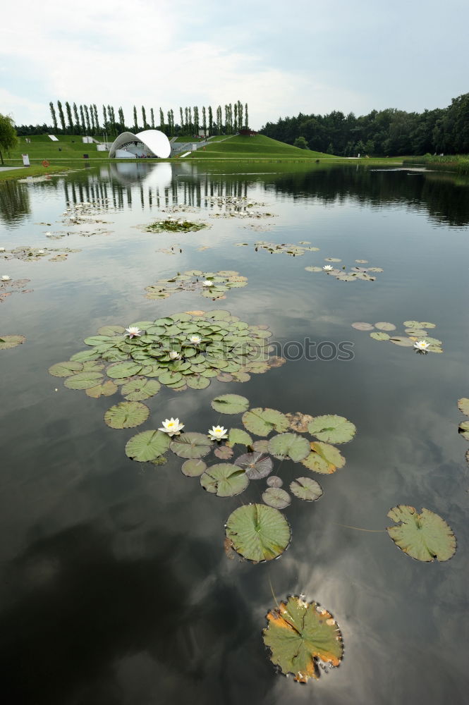 Similar – Image, Stock Photo forest lake Environment