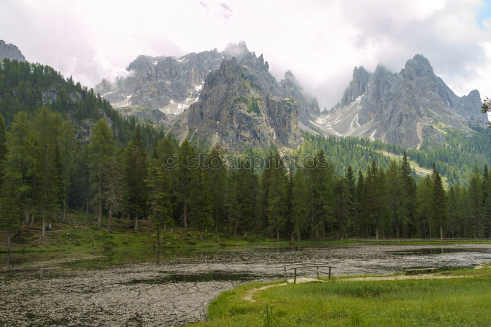 Similar – Image, Stock Photo Dolomites Forest White