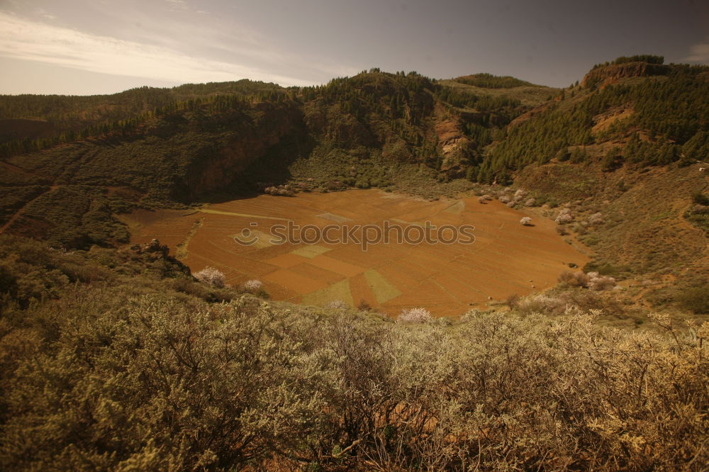 Similar – Landscape Zufriedenheit