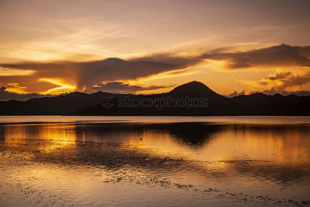 Similar – Foto Bild Flamingo Formation II