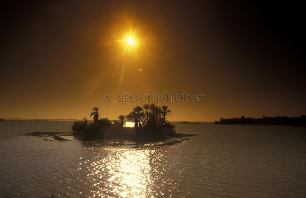 Similar – Image, Stock Photo black Elbe Night