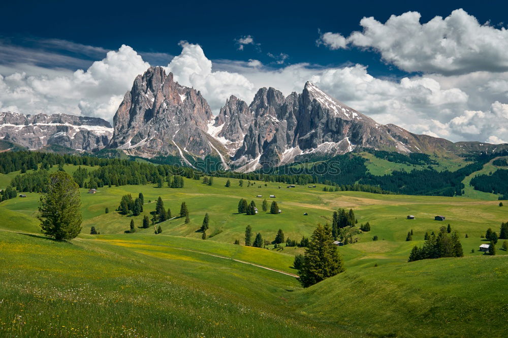 Similar – Berg an Gräsern und Bäumchen