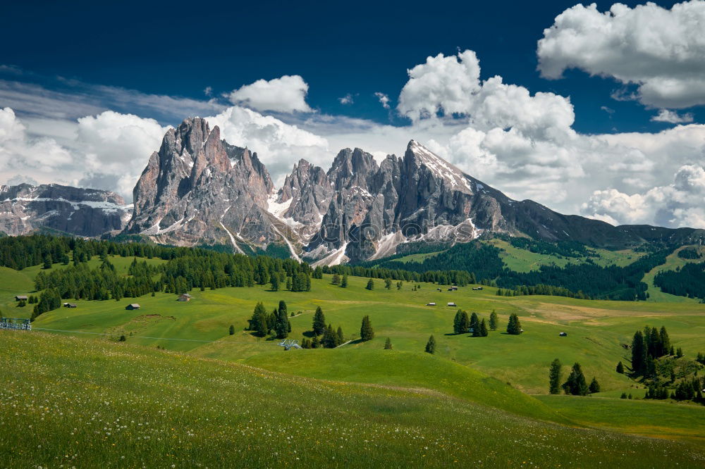 Similar – alpine pasture life