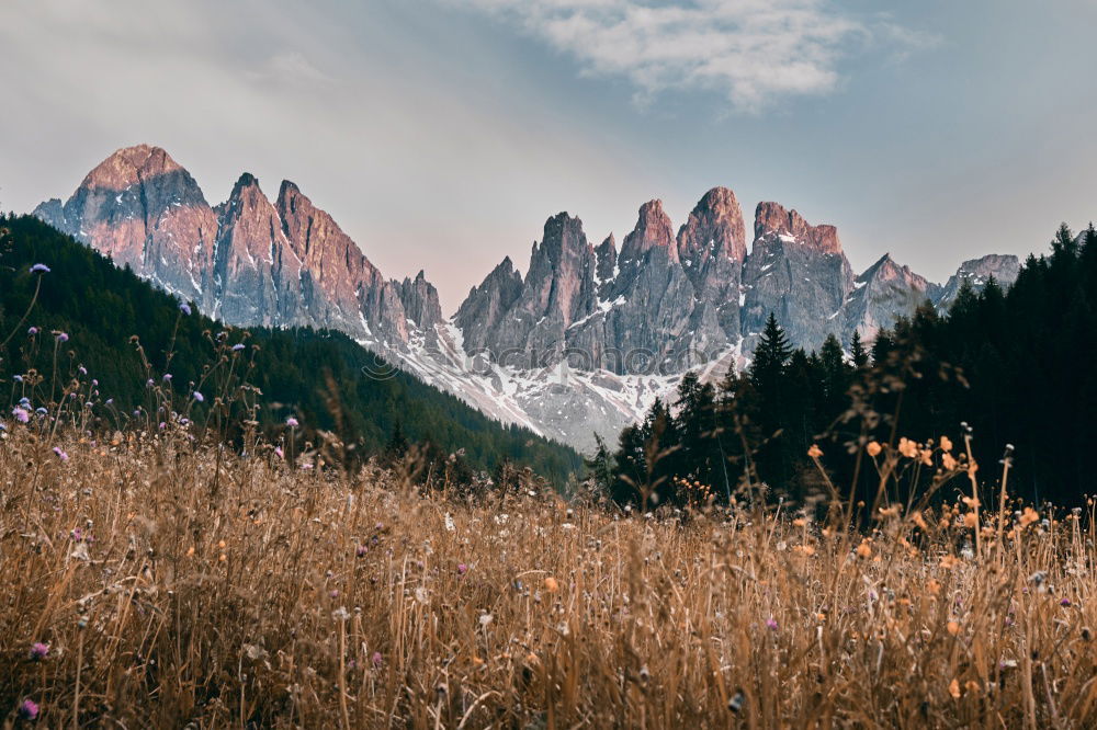 Similar – ortisei Natur Landschaft