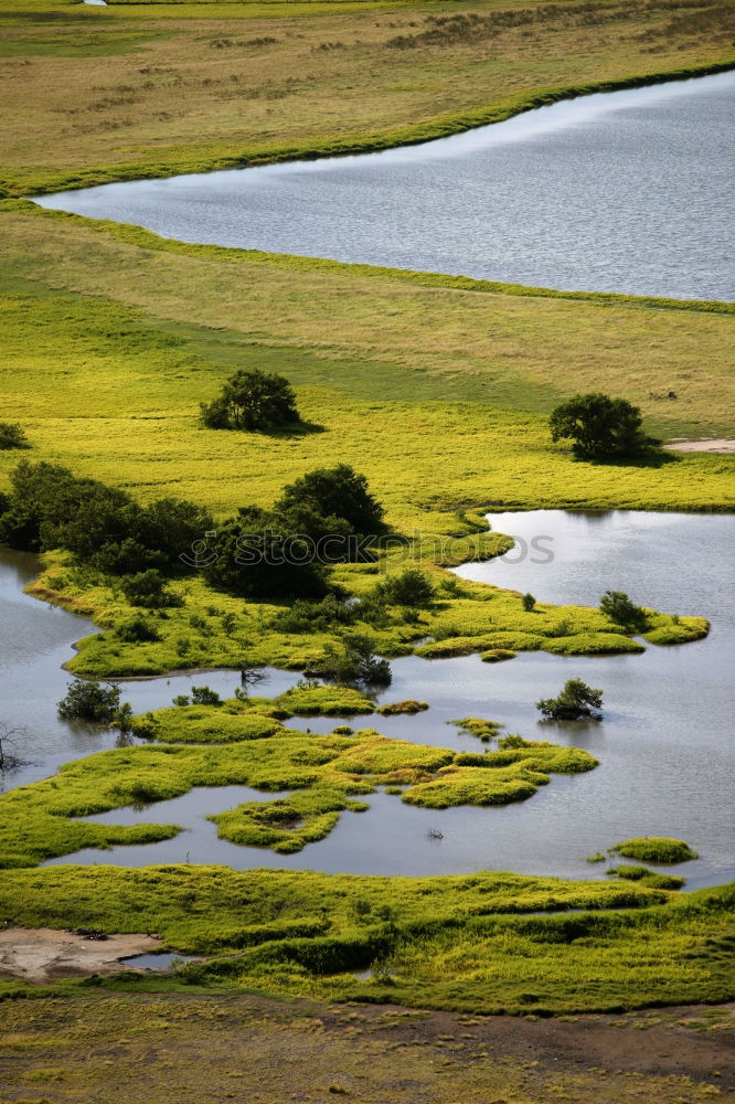 Similar – green lake Summer Nature