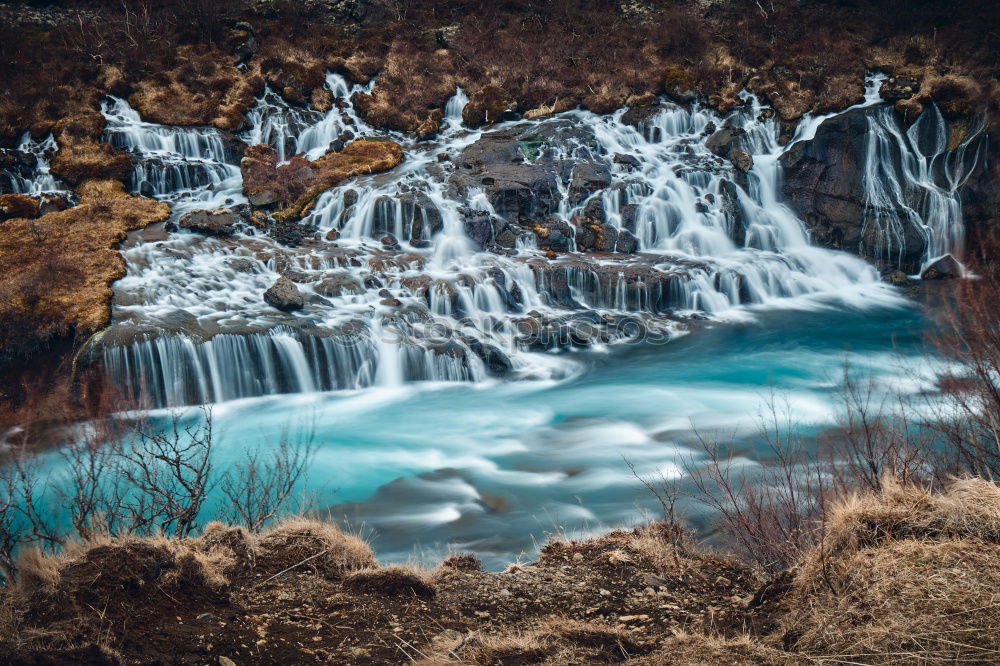 Similar – Image, Stock Photo Hello Iceland Relaxation