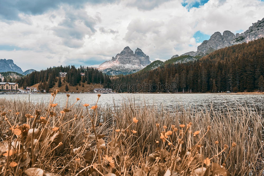 Similar – Wooden dock on lake in mountains