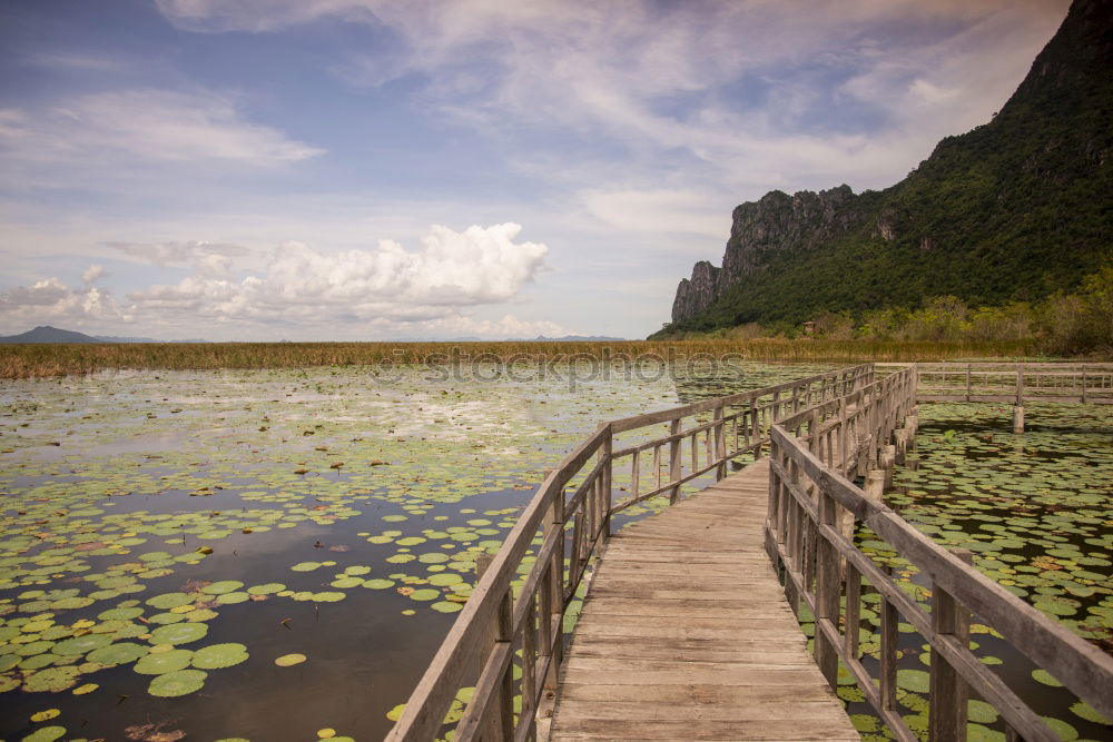 Similar – Image, Stock Photo Landscape Vietnam. River view in the dim light of dusk at Ninhbinh, Tam Coc, Vietnam