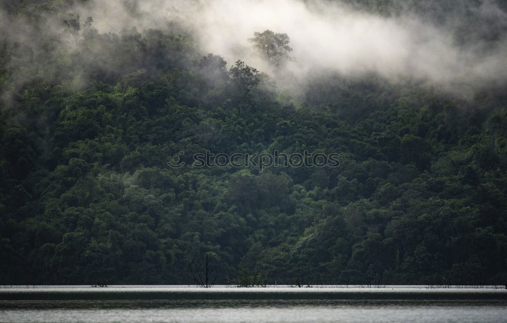 Similar – somber Dark Lake Dock Fog