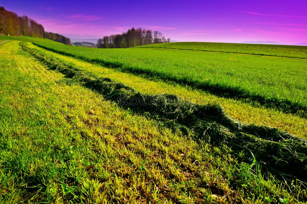 Similar – Grüner Herbst Landschaft