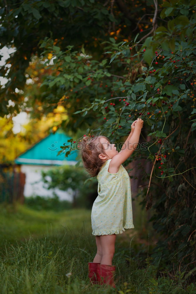 Similar – Cheerful kid in costume posing on tree