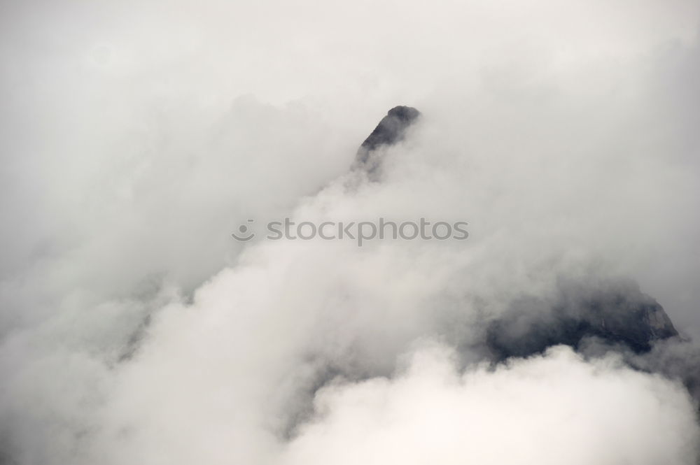 Similar – Image, Stock Photo alone Nature Landscape Sky