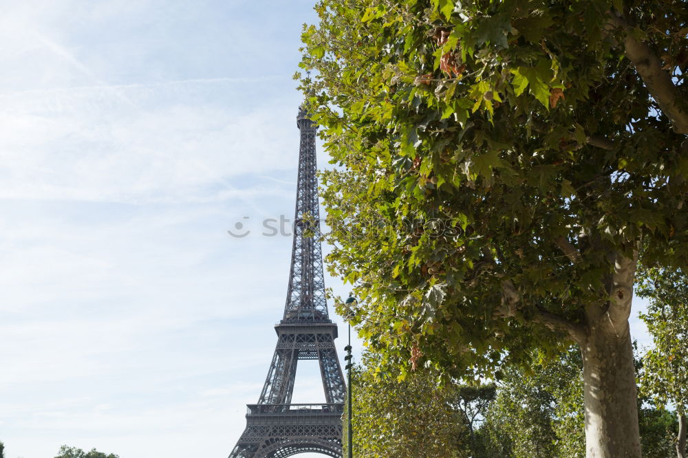 Similar – Image, Stock Photo la tour eiffel Paris