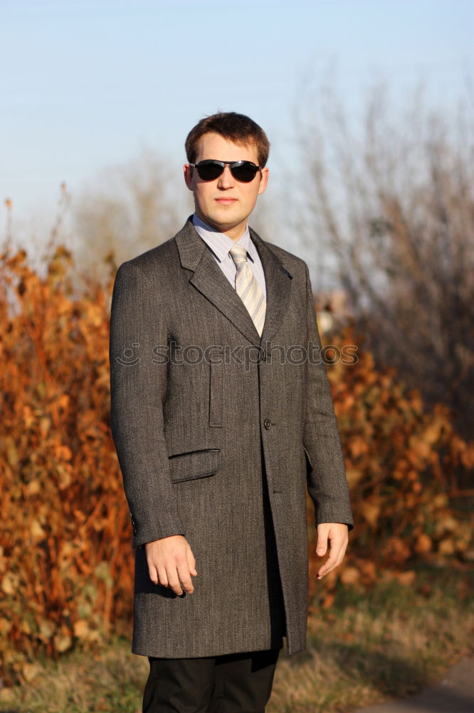 Similar – Image, Stock Photo Dennis in the forest at the golden hour