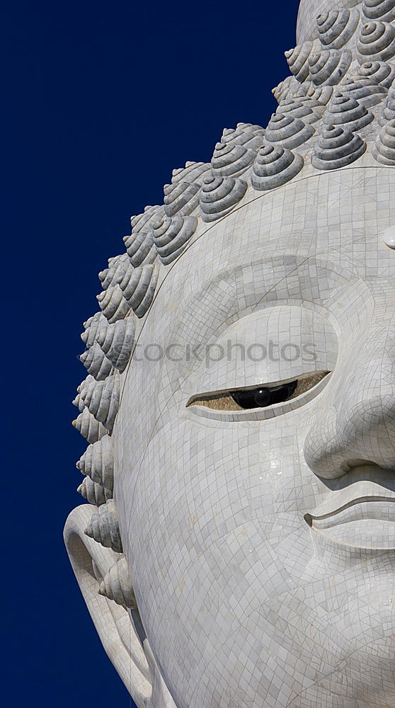 Similar – Image, Stock Photo Golden buddha image in Bangkok, Thailand