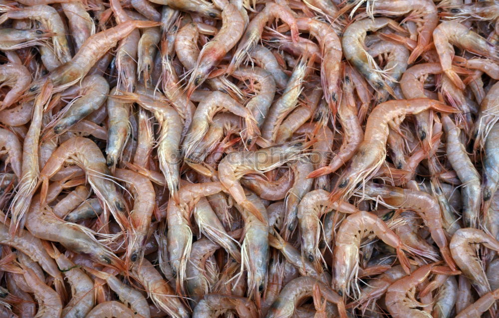 Image, Stock Photo prawns Food Seafood