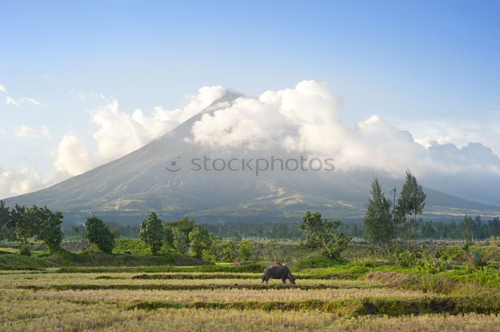 Similar – Image, Stock Photo Volcano Arenal Costa Rica