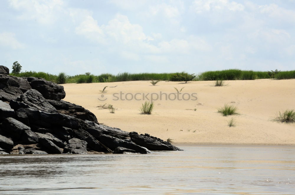 Kenya Crocodile River