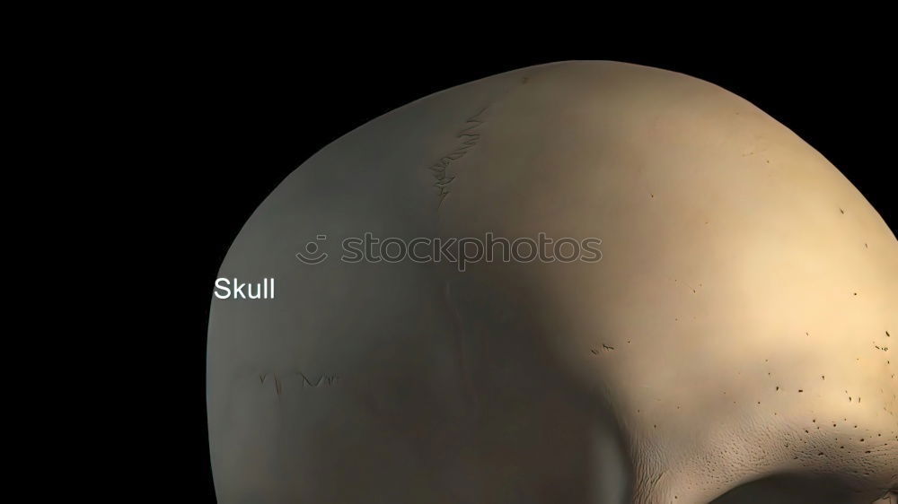 Similar – Foto Bild Odeim Gesicht Lippen Mann