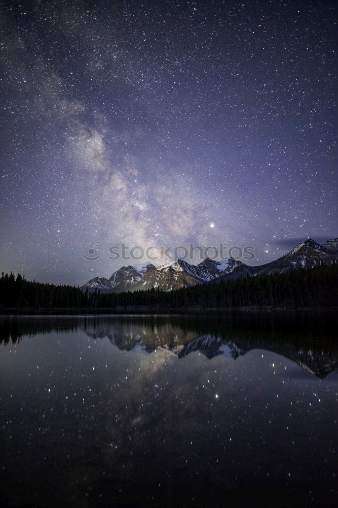 Similar – Image, Stock Photo Duck at Lake Eibsee