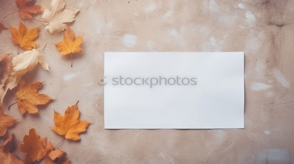 Similar – a paper picture with a rippled edge from the 1960s with a toddler in a pram lies on a wooden board next to leaves