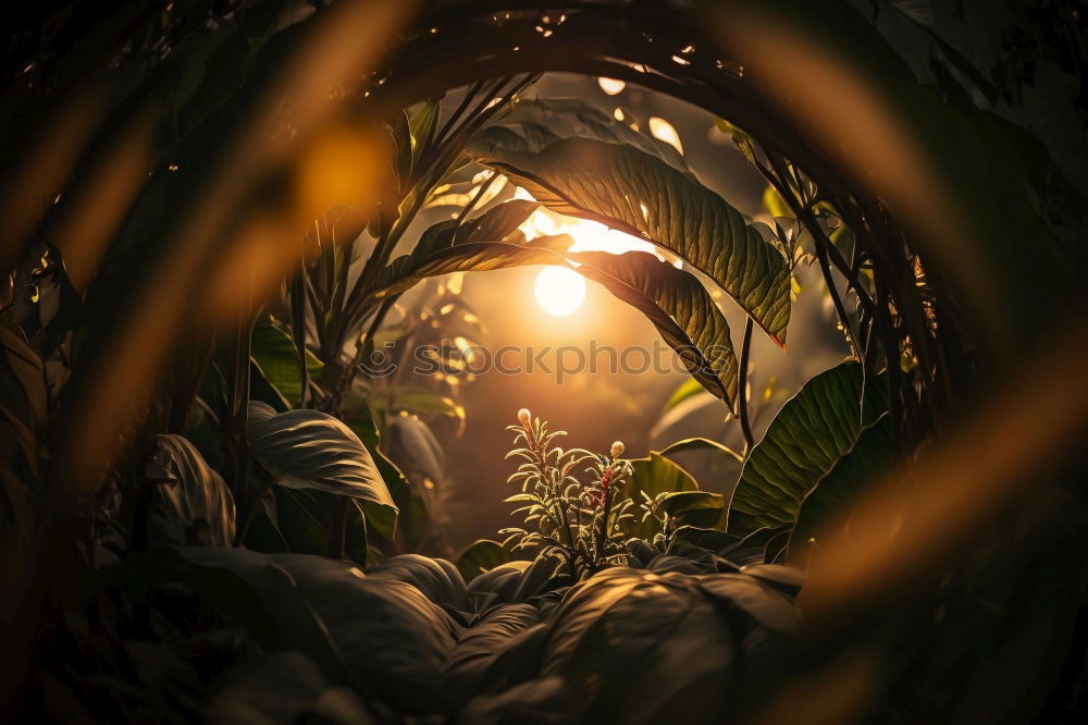 Similar – Image, Stock Photo Looking up in the beer garden