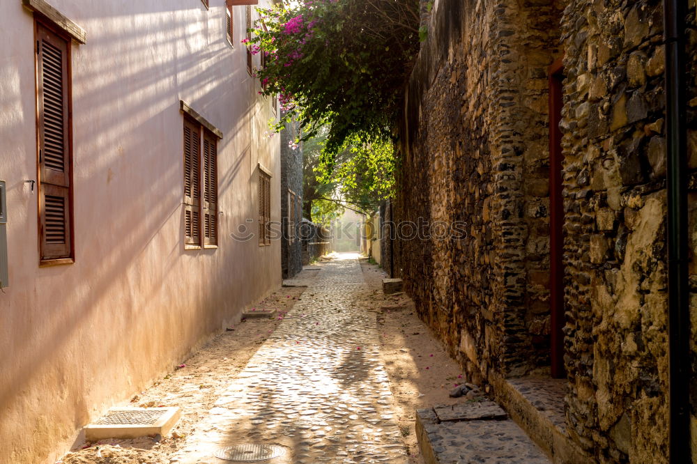 Similar – Image, Stock Photo ramatuelle Town