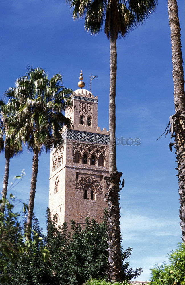 Similar – Image, Stock Photo Alhambra Granada Andalucia