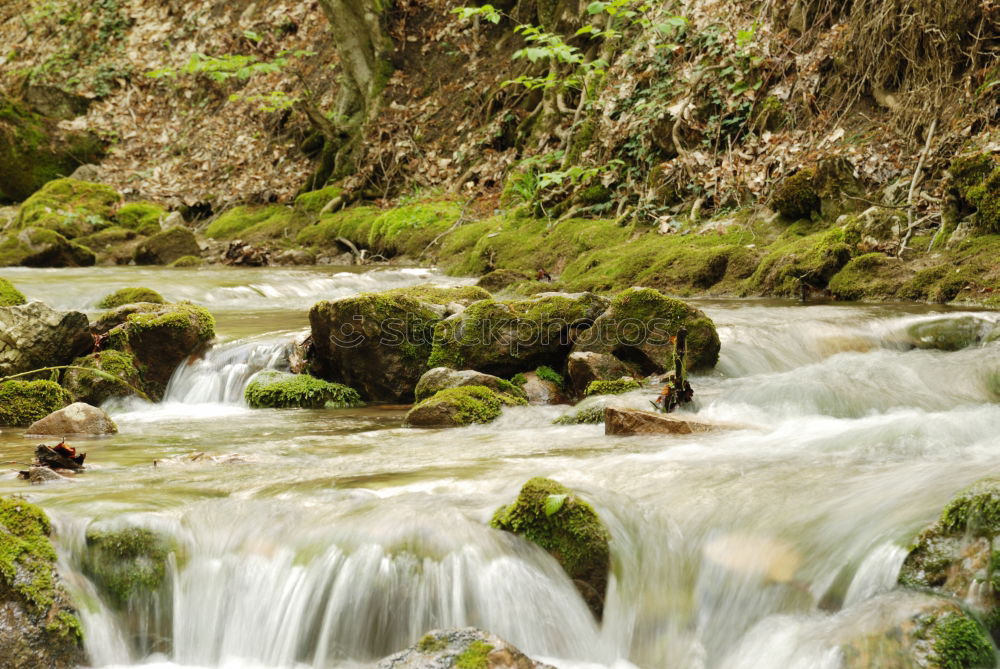 Similar – Unten am Fluss III Wasser