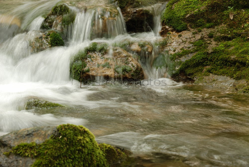 Similar – Foto Bild Flussabwärts Umwelt Natur