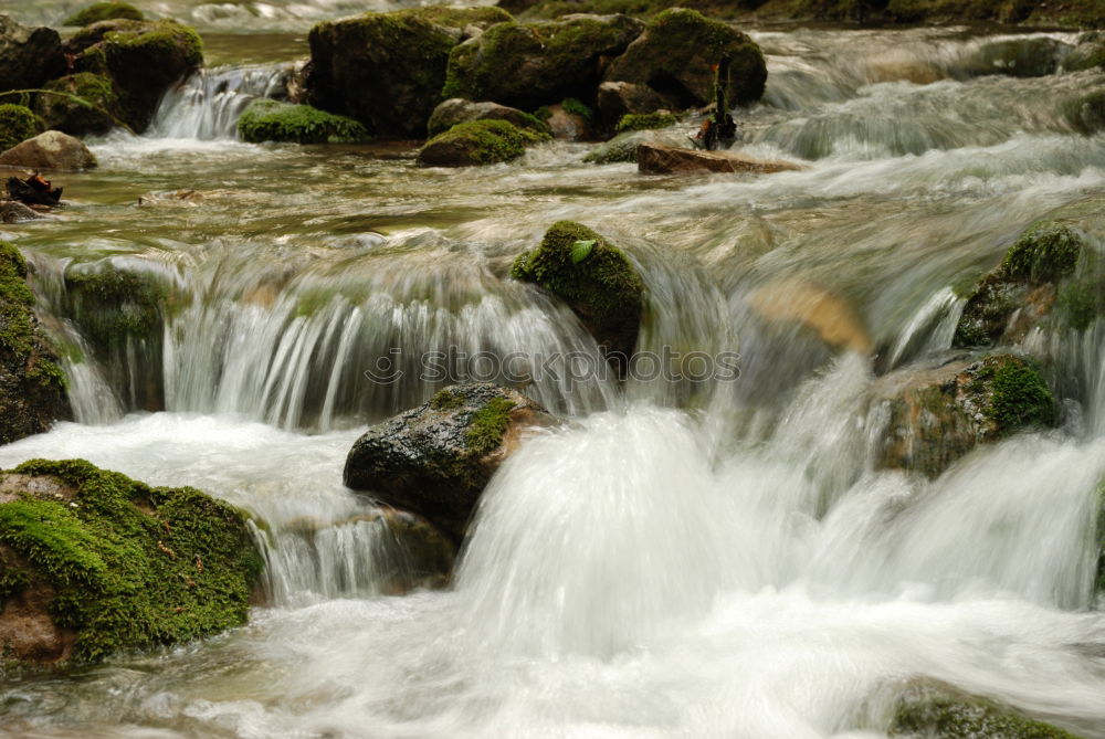 Similar – Foto Bild Flussabwärts Umwelt Natur