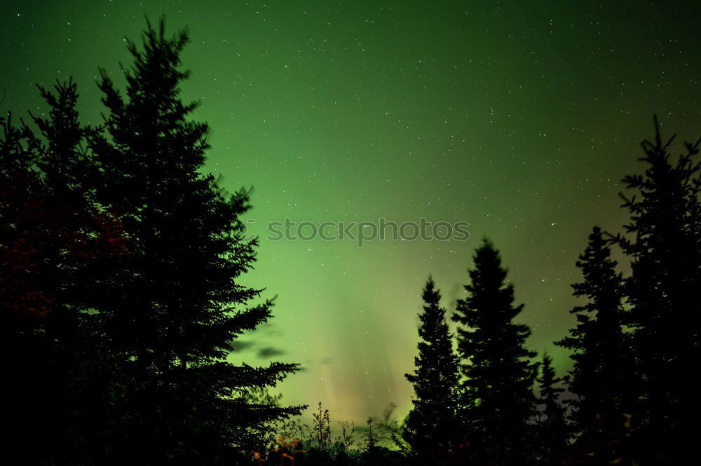 Similar – Image, Stock Photo Aurora in Abisko 2