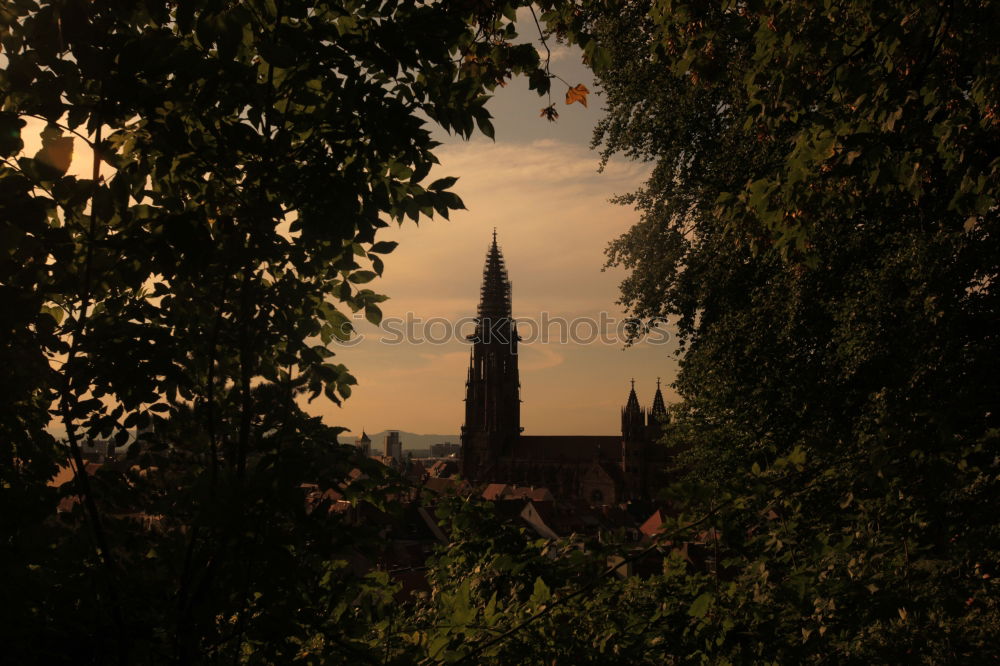 Similar – night @ castle meissen