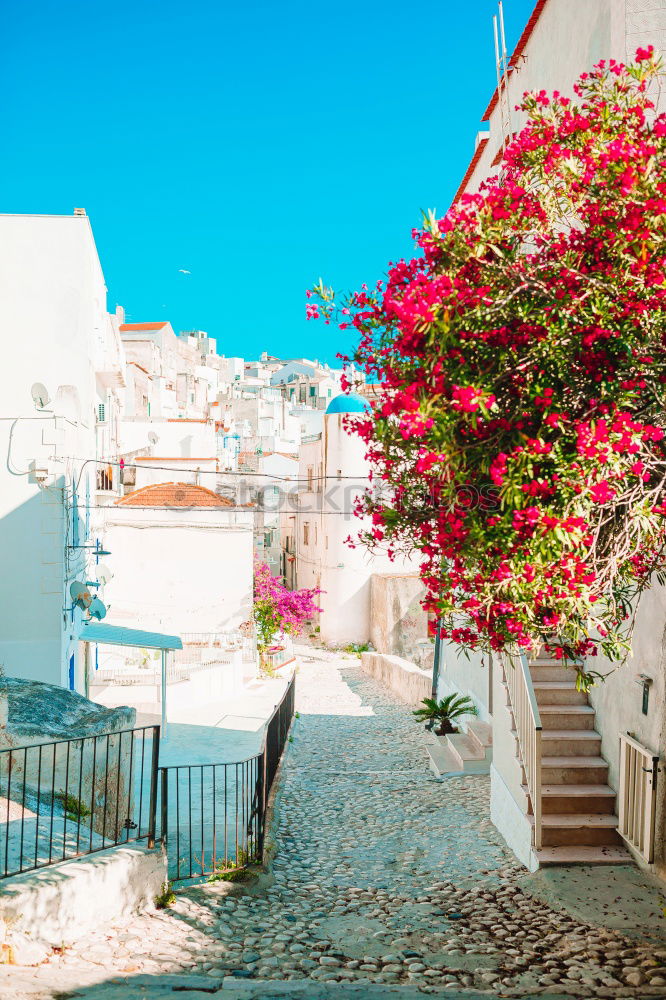 Similar – Image, Stock Photo Rural streets in Cadaques, Spain