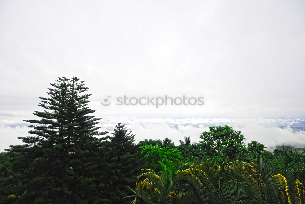 Similar – Image, Stock Photo Bowling green English