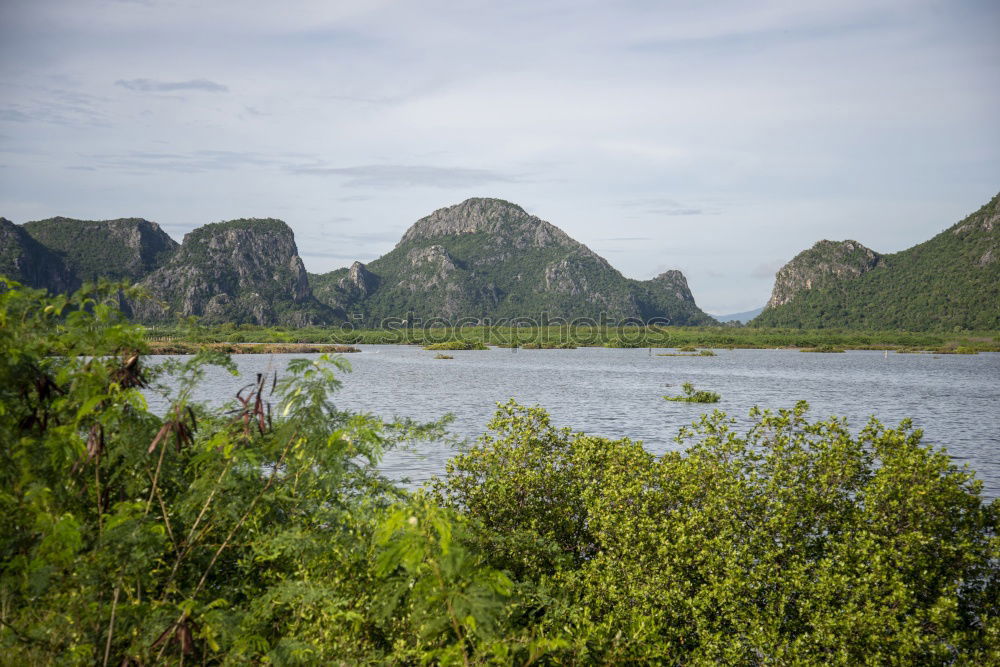 Similar – Landscape Vietnam. River view in the dim light of dusk at Ninhbi