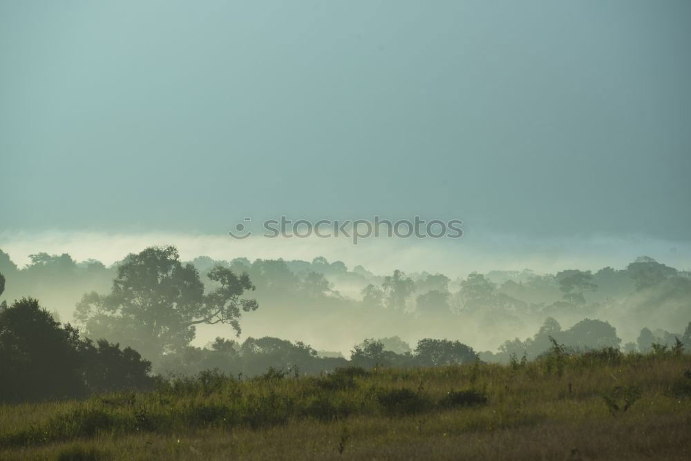 Similar – Image, Stock Photo in the morning in rockhampton